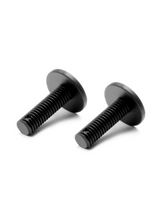 COMPOSITE REAR BODY HOLDER SCREW - MEDIUM (2)