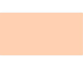 VALLEJO Fleshtone, - Premium 60ml