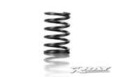XRAY SPRING-SET C 5.0 - REAR (2)
