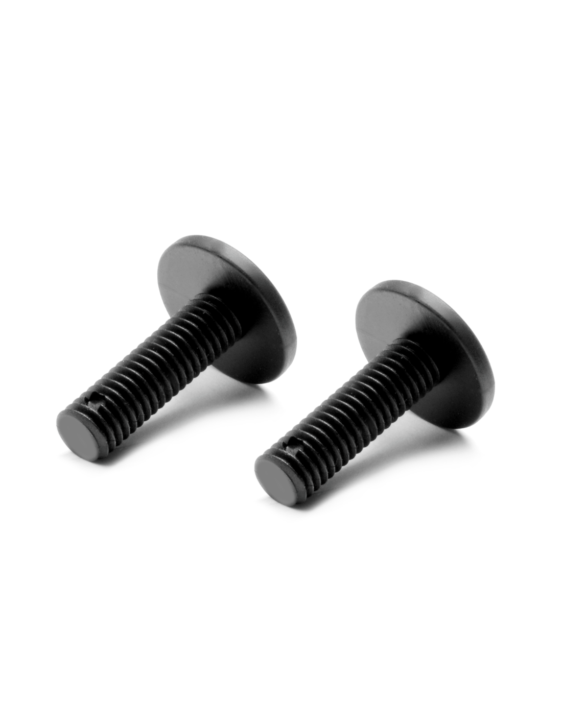 COMPOSITE REAR BODY HOLDER SCREW - MEDIUM (2)