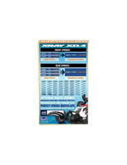 REAR SPRING-SET - 1 DOT (2)