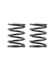 XRAY 3S SPRING-SET C 5.0 (2)