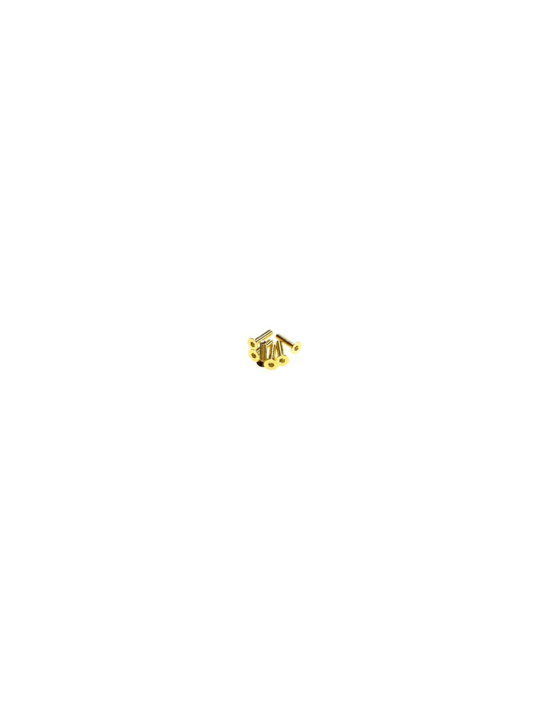 M3x10 HIRO-SEIKO  Hex Socket Flat Head Screw [24K_Gold]