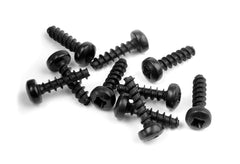 SCREW PHILLIPS 2.5x10 (10)