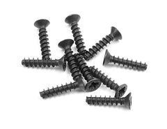 SCREW PHILLIPS FH 2.5x12 (10)