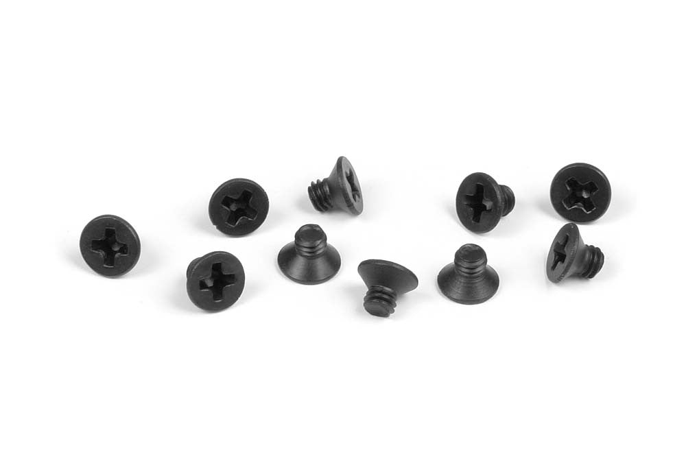 SCREW PHILLIPS FH M2.5x3 (10)