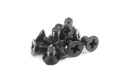 SCREW PHILLIPS M 2.5x4 (10)