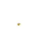 2678-thickbox_default-M3x8-HIRO-SEIKO-Hex-Socket-Flat-Head-Screw-24K_Gold.png